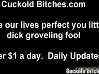 I will produce You for a Cruel Cuckolding Session: x rated video fe